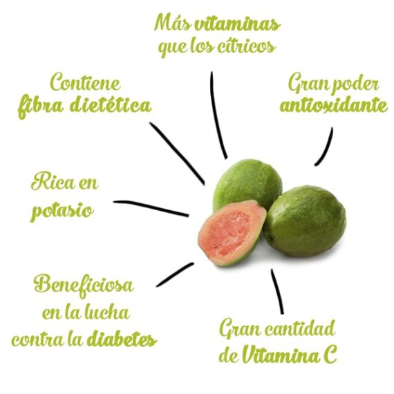 Propiedades De La Guayaba Y Sus Beneficios Huerta Tropical