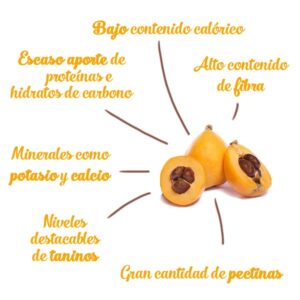 Propiedades Del N Spero Y Sus Beneficios Huerta Tropical