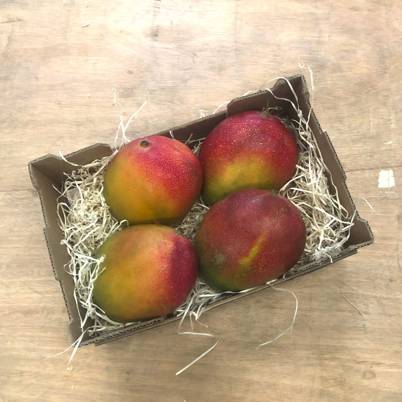 Caja de mango kent - Huerta Tropical