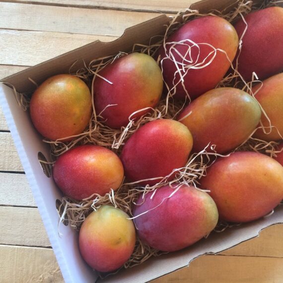 caja de mangos irwin madurados en el arbol