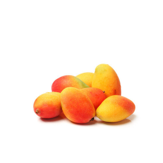 comprar mini mangos mangos bombón