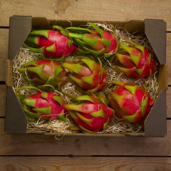 caja de fruta del dragón