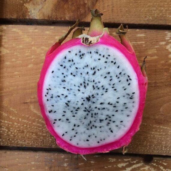 pitahaya blanca y piel rosa