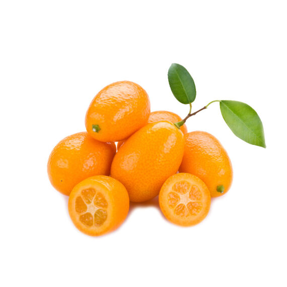 kumquat huertatropical dekum