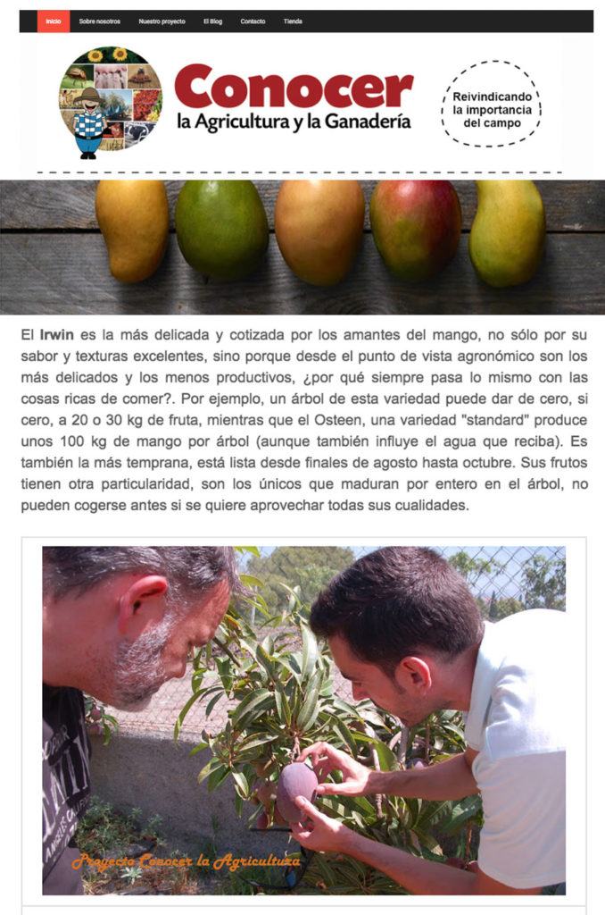 Artículo Conocer la Agricultura Descubriendo el Mango