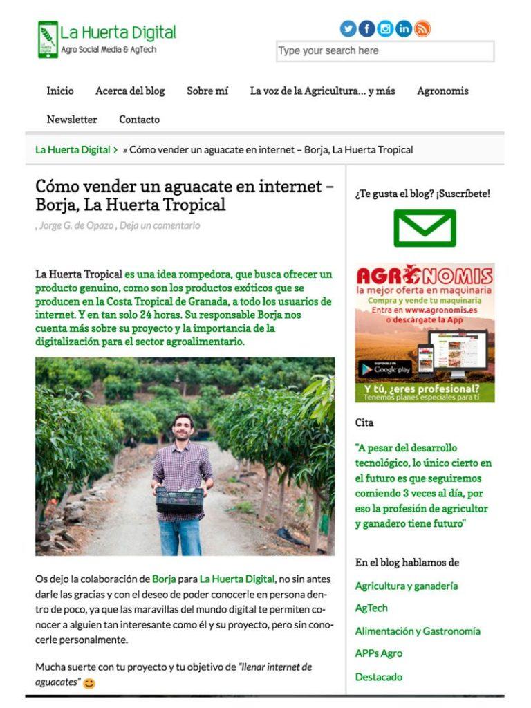 Artículo Blog Huerta Digital Cómo vender un aguacate por Internet