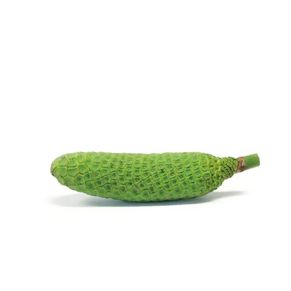 Comprar Fruta Monstera Deliciosa, Costilla de Adán, Filodendro o Piñanona
