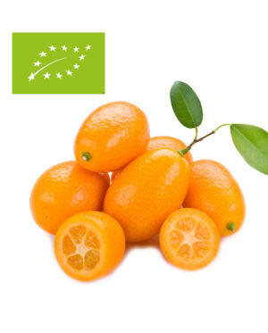 comprar kumquat BIO ecológico