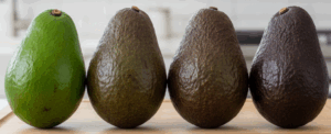 evolución de la maduración de los aguacates